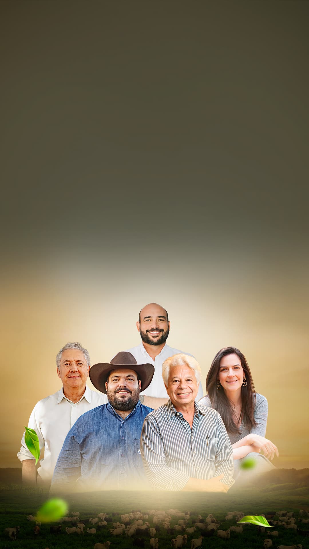 Fazenda Minuano e Vitasal