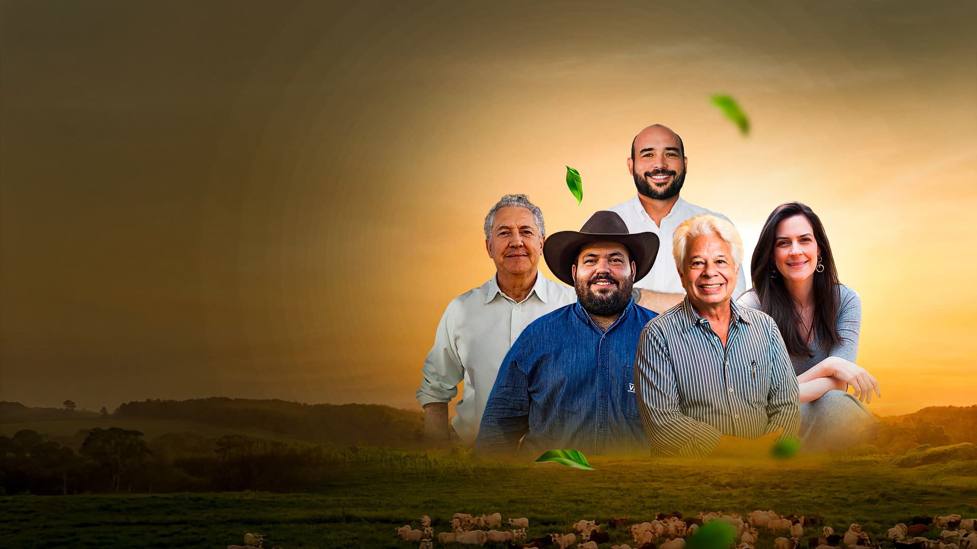 Fazenda Minuano e Vitasal